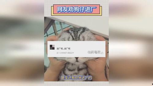 爆料明星进厂视频大全集,独家视频大全集幕后揭秘  第1张